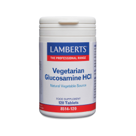 Lamberts Vegetarian Glucosamine 750mg 120 tabs